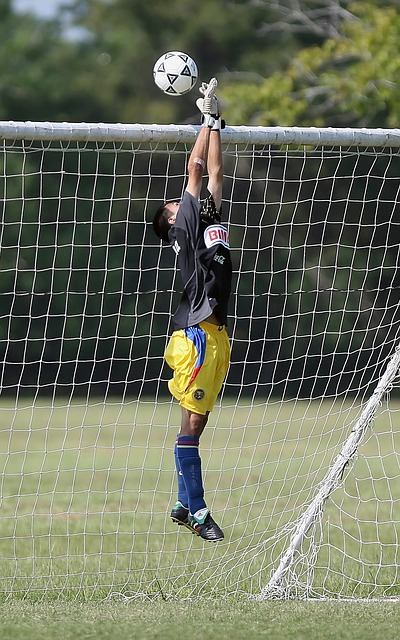 并表示未来 并表示未来