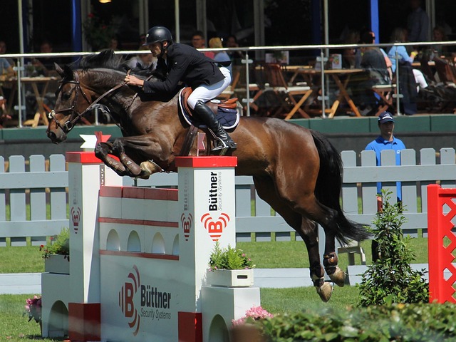 希望能够通 希望能够通