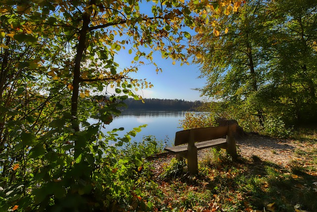 开发和阵容 开发和阵容