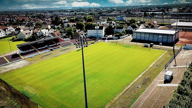 段的互动平 段的互动平